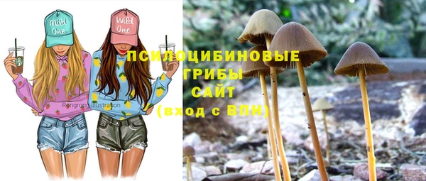 PSILOCYBIN Балахна