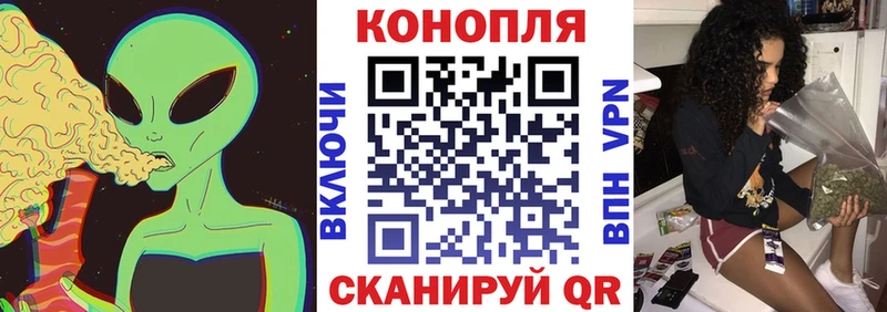 мега как зайти Отрадная Конопля индика